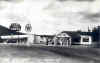 williams8.jpg (61253 bytes)