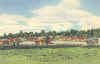 williams9.jpg (58268 bytes)